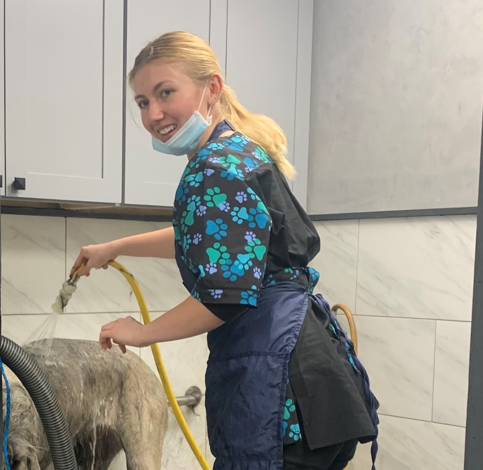 Professional Groomers in Huntington Beach, CA The Animal Hospital of