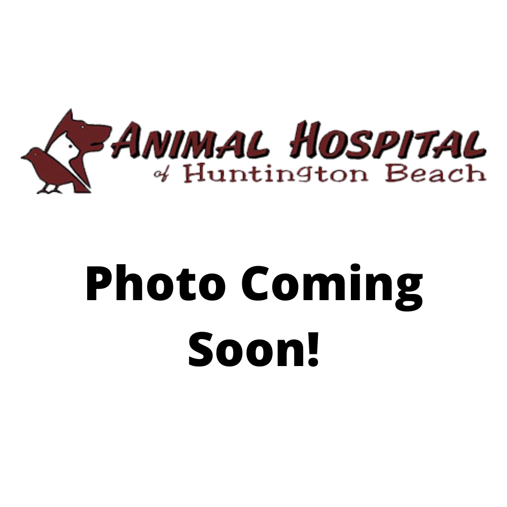 Professional Groomers in Huntington Beach, CA The Animal Hospital of